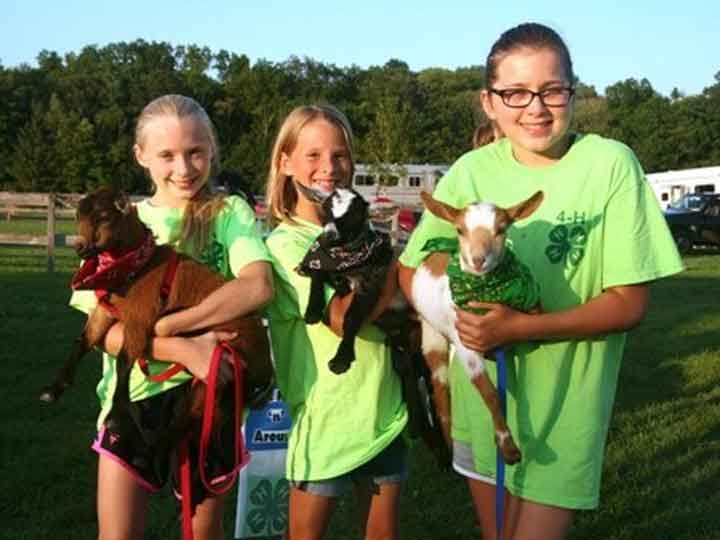 Morris County 4H Fair Kicks Off Next Thursday Night Morris Focus