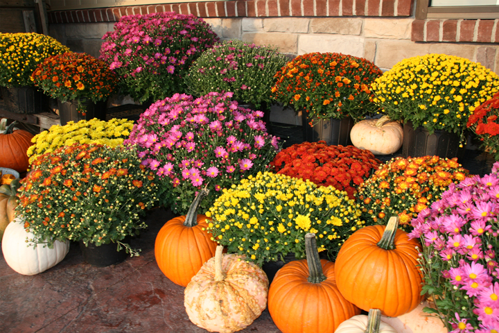 Rainbow Lakes Volunteer Fire Company Hosts 5th Annual Fall Plant Sale | Parsippany Focus