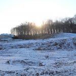 IMG_8428