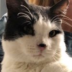 Miller call 973-263-7085