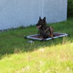 IMG_8510
