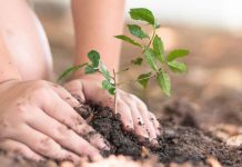 Parsippany Invites Residents to Annual Arbor Day Celebration