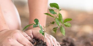 Parsippany Invites Residents to Annual Arbor Day Celebration