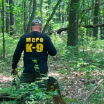 Missing-Person-1