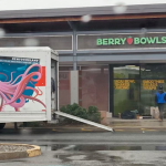 Berry-Bowls2
