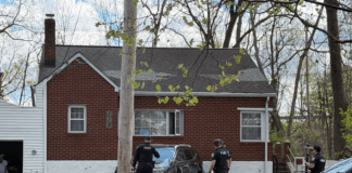 Vehicle Crashes Into Tree and Home in Parsippany After Driver Reverses onto Califon Road