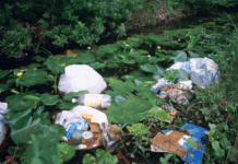 Parsippany Receives Largest Clean Communities Grant In Morris County