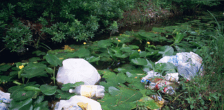 Parsippany Receives Largest Clean Communities Grant In Morris County