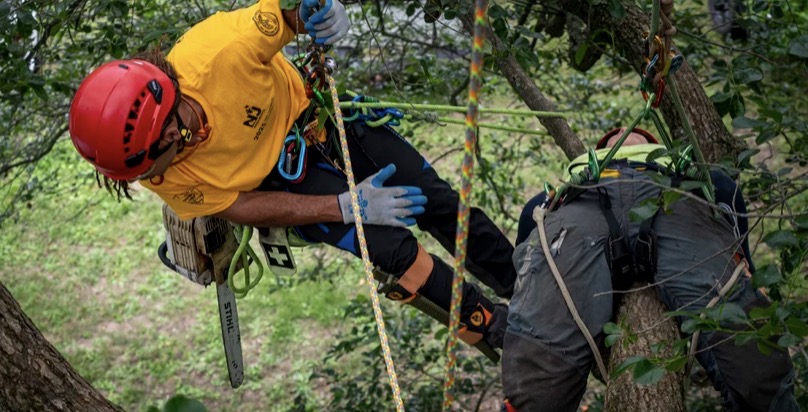Professional Arborists to Compete in New Jersey Tree Climbing ...